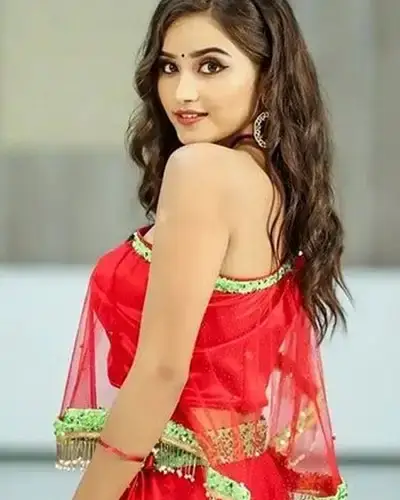 Call Girls Service Somnath
